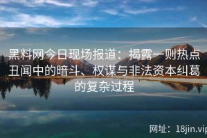 黑料网今日现场报道：揭露一则热点丑闻中的暗斗、权谋与非法资本纠葛的复杂过程