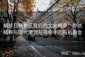 解读日韩专区背后的文化传承：传统精粹与现代潮流在网络中的有机融合