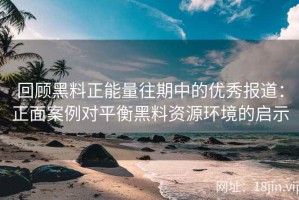回顾黑料正能量往期中的优秀报道：正面案例对平衡黑料资源环境的启示