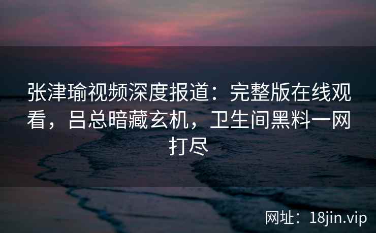 张津瑜视频深度报道：完整版在线观看，吕总暗藏玄机，卫生间黑料一网打尽