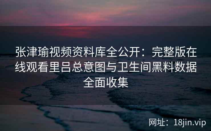 张津瑜视频资料库全公开：完整版在线观看里吕总意图与卫生间黑料数据全面收集