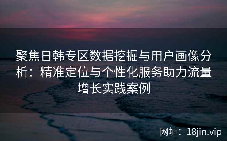 聚焦日韩专区数据挖掘与用户画像分析：精准定位与个性化服务助力流量增长实践案例